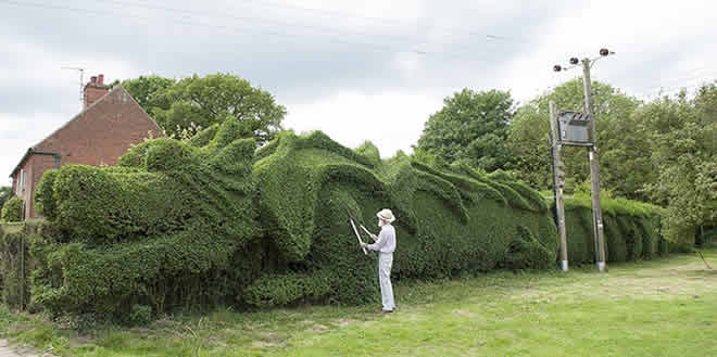 La cerca viva en jardinería y paisajismo