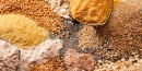 ¿Qué es la piramide alimenticia?