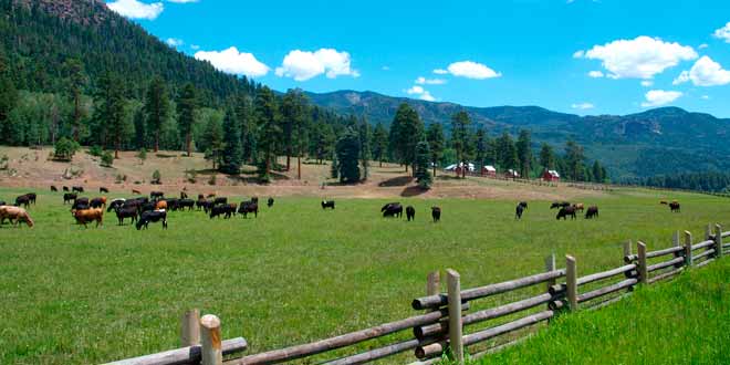 El turismo rural, un servicio cada vez más requerido