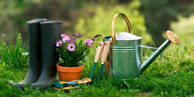 ¿Por qué hacer un curso de jardinería?