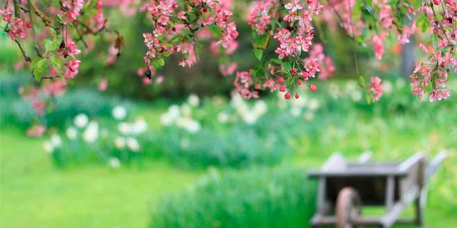 La jardinería y su función decoradora