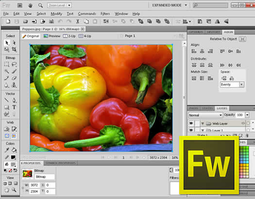 Curso de Fireworks CS6 | FUDE