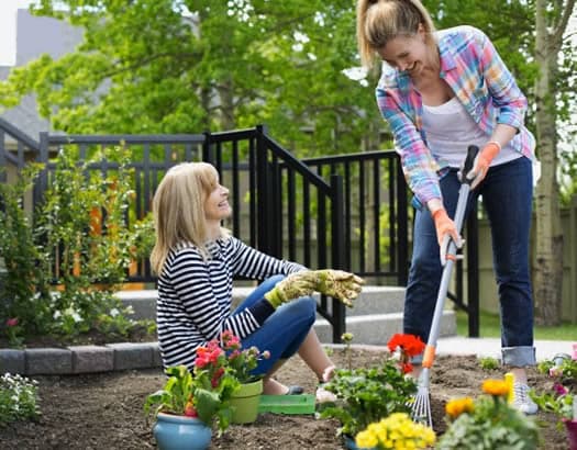 Curso de Jardinería y Paisajismo Profesional | FUDE