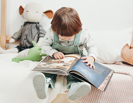 Curso de Estimulación Literaria en la Infancia