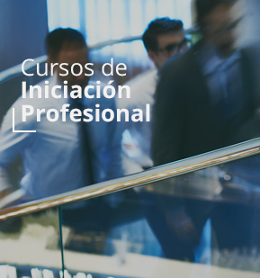 Cursos de Iniciacion Profesional