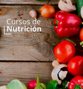 Cursos de Nutricion